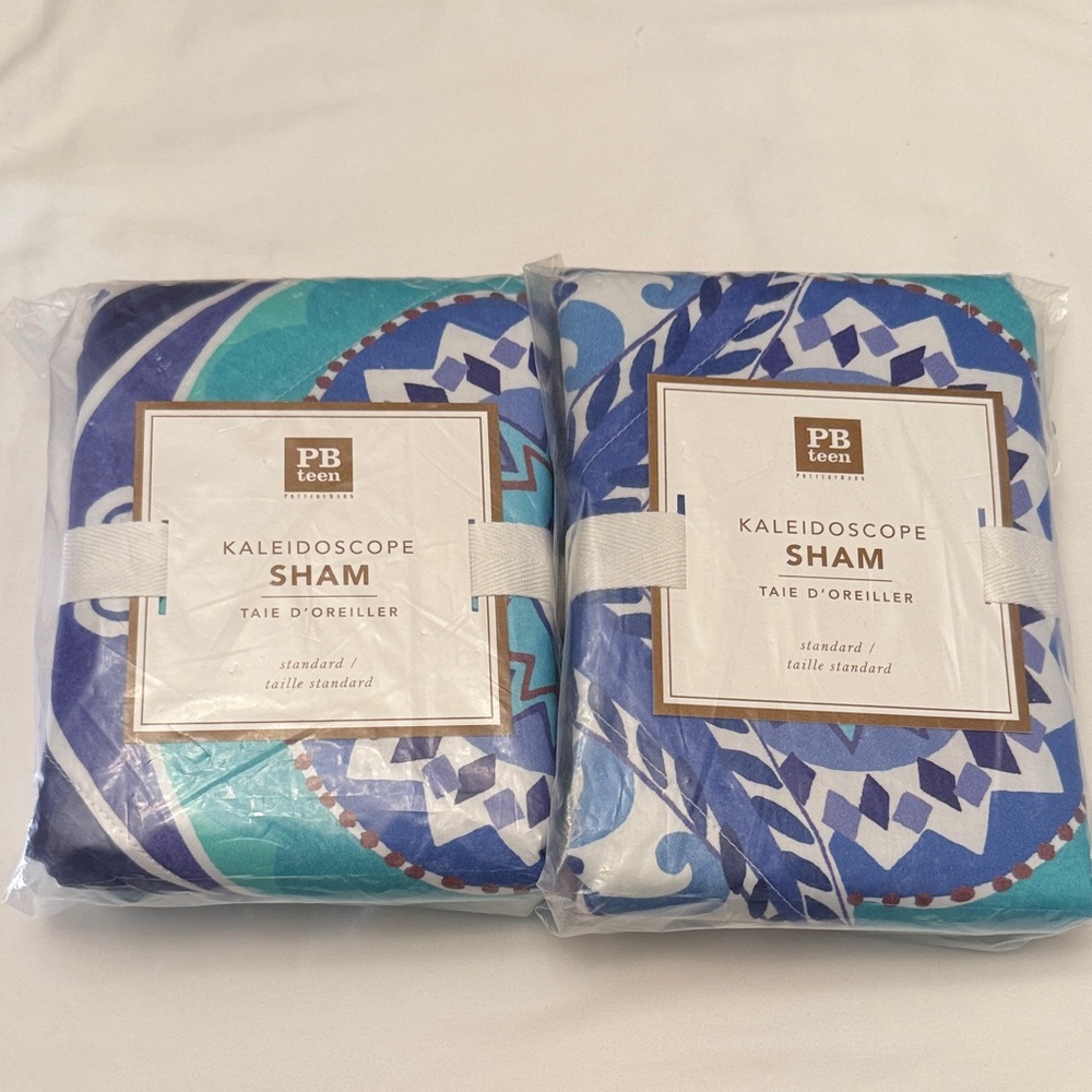 Pottery Barn Teen Kaleidoscope Sham - Blue and White